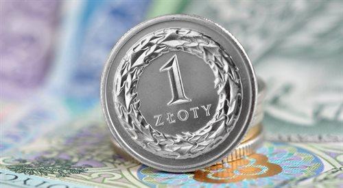 Czy Polska przyjmie Euro? Eksperci: potrzeba kilku lat